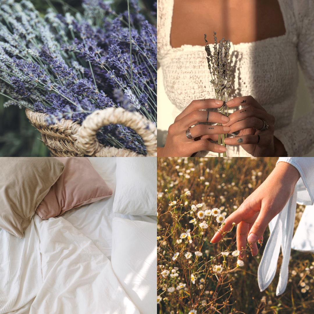 Stress Release | Aromatherapy Mist