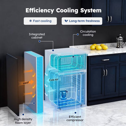 EUHOMY 3.1 cu ft Mini Refrigerator Stainless Steel Black