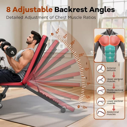 FLYBIRD Basic Adjustable Weight Bench for Home Gym, Foldable Workout Bench with 8 Backrests, 660LBS Weight Capacity