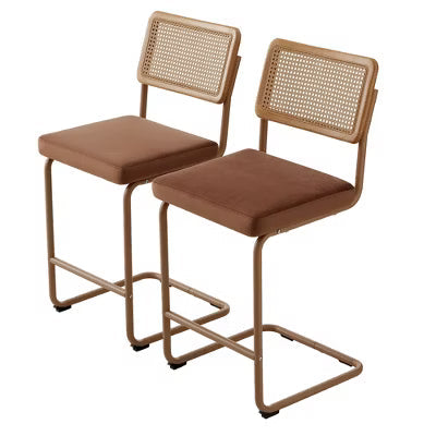 Hyleory Sled Base Counter Stool with Faux Rattan Back, 26" Seat Height, Solid Wood Frame & Stainless Steel Base