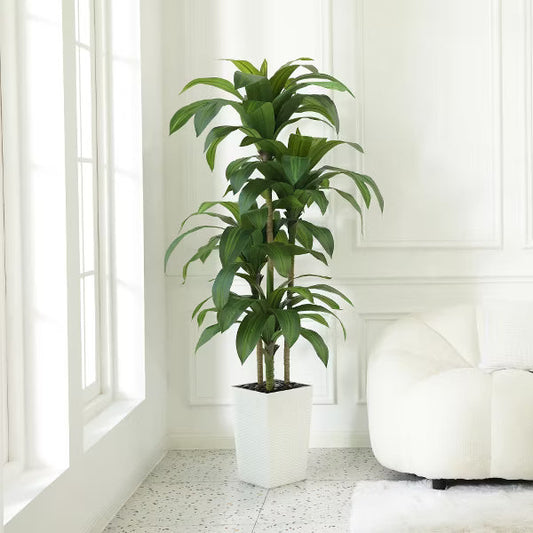 Dr.Planzen 5-6ft UV & Sunproof Artificial Dracaena Tree for Indoor/Outdoor - Faux Silk Plant in Tall Planter, Tall Faux Tree for Home & Garden Decor