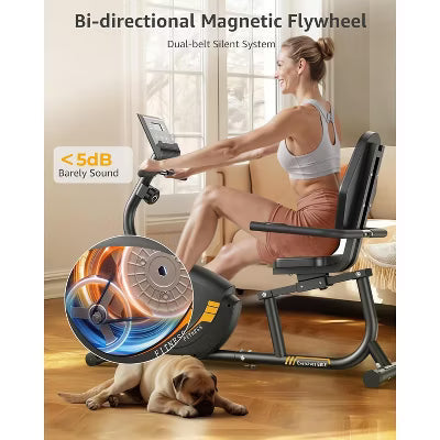 JEEKEE Recumbent Exercise Bike for Seniors,Stationary Bikes for Home, 400LB Capacity & 16 Levels Magnetic Resistance, Heart Rate Handle (B LACK)