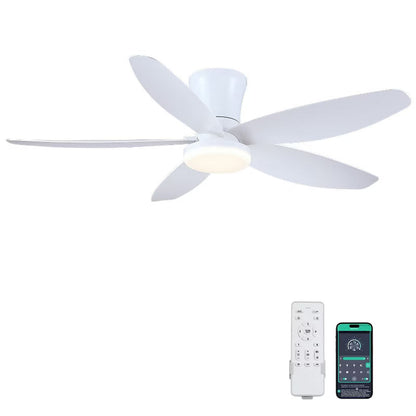 Kviflon 36 or 42 or 48 inch Low Profile Flush Mount Ceiling Fan with LED Light