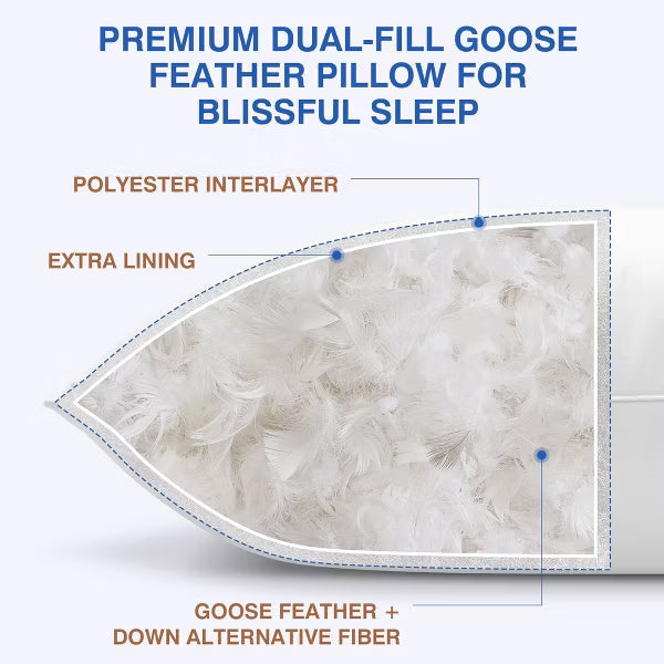 ALEEN & AJEAN Goose Down Pillows and Bed Pillows Queen Size for Sleeping,With 2 Set of Soft Cotton Cover- Pack of 2