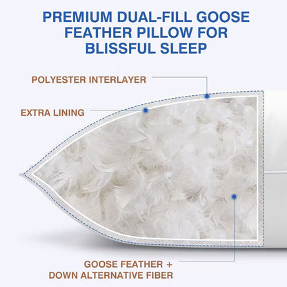 ALEEN & AJEAN Goose Down Pillows and Bed Pillows Queen Size for Sleeping,With 2 Set of Soft Cotton Cover- Pack of 2