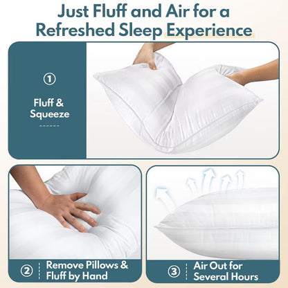 Heycuzi Queen Pillows for Sleeping - Hotel Quality Down Alternative Microfiber Fill - Ideal for Back, Stomach, Side Sleepers