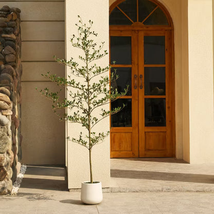 DR.Planzen 84" Artificial Olive Tree - 7FT UV Resistant Fake Plant with Black Fruits in 10.5" White Pot for Indoor/Outdoor Floor & House Decor