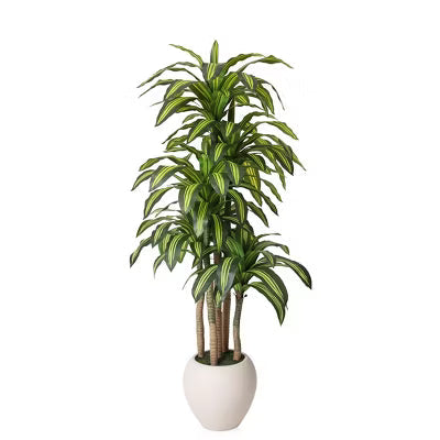 DR.Planzen 6/7/8FT Artificial Dracaena Tree in White Pot, Realistic Faux Dracaena Plant , Perfect Present for Indoor Outdoor Home Decor
