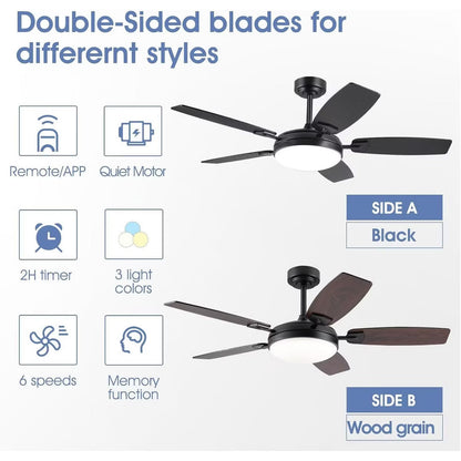 Kviflon 52 Inch Modern Downrod Ceilng Fan Light, Reversible DC Motor,3CCT Dimmiable LED,for Living Room Patio Kitchen