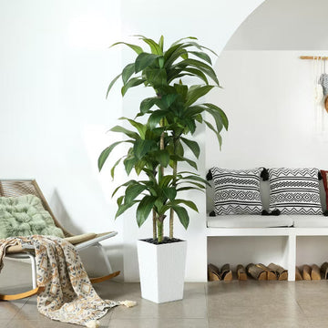 Dr.Planzen 5-6ft UV & Sunproof Artificial Dracaena Tree for Indoor/Outdoor - Faux Silk Plant in Tall Planter, Tall Faux Tree for Home & Garden Decor