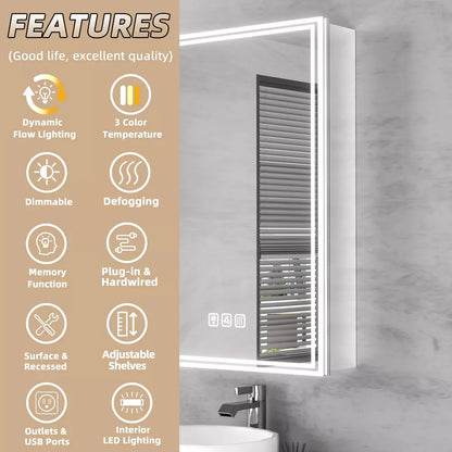 FAMYYT 20x28 inch Aluminum LED Bathroom Medicine Cabinet with Mirror and Lights, Surface/Recessed Vanity, Anti-Fog, Left Hinge