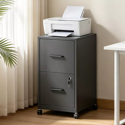 VIYET 2 Drawer Mobile File Cabinet with Lock, Rolling Metal Filing Cabinet for Letter & Legal Files, Office Storage with Anti-Tip Kit