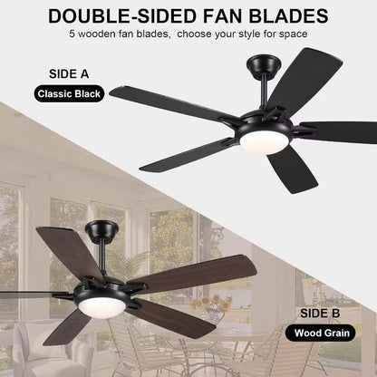 52 Inch Down Rod Ceiling Fan with Light,Dual side Blades