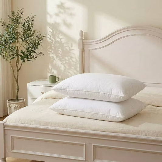 ALEEN & AJEAN Goose Down Pillows and Bed Pillows Queen Size for Sleeping,With 2 Set of Soft Cotton Cover- Pack of 2