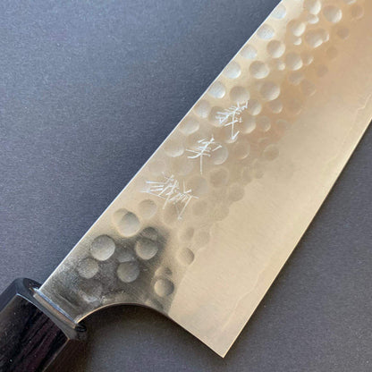 Gyuto Knife, SG2 Powder Steel, Tsuchime finish - Kato