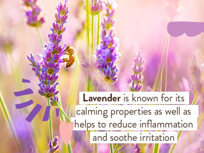 Calming Lavender Bubble Bath & Wash Duo