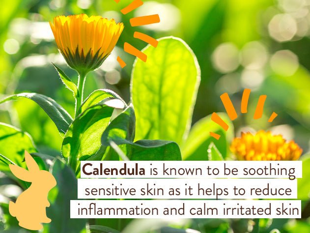 Moisturizing Oat & Calendula Bubble Bath & Wash Duo