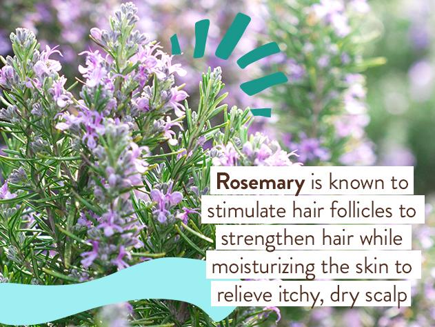 Eucalyptus Remedy Plant-Based Bubble Bath & Wash Duo