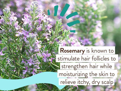 Eucalyptus Remedy Plant-Based Bubble Bath & Wash Duo