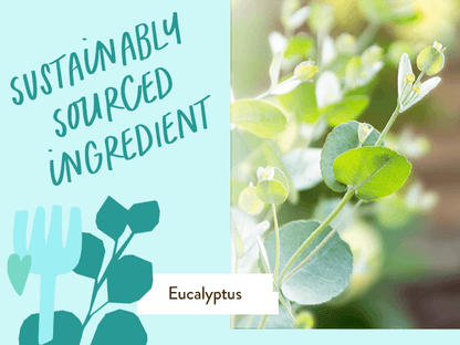Eucalyptus Remedy Plant-Based Conditioner - 6oz