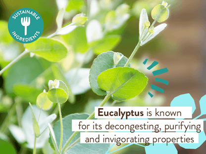 Eucalyptus Remedy Plant-Based Conditioner - 6oz