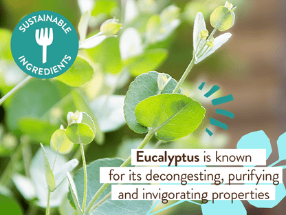 Eucalyptus Remedy Plant-Based Shampoo & Wash - 16oz
