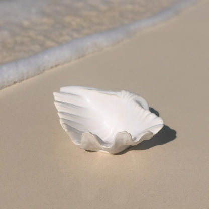 Ceramic Seashell
