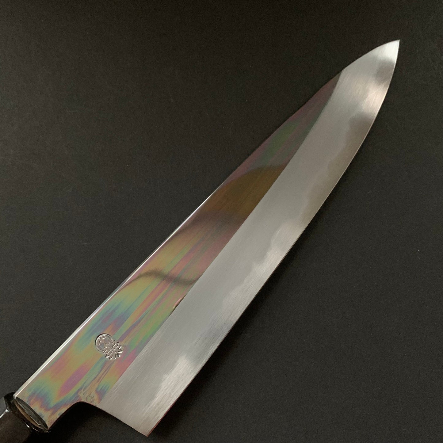 Gyuto Knife, Shirogami 2 with iron cladding, mirror polished finish, Choyo range - Sakai Kikumori