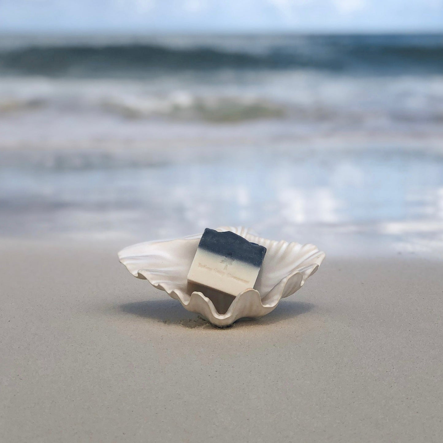 Ceramic Seashell
