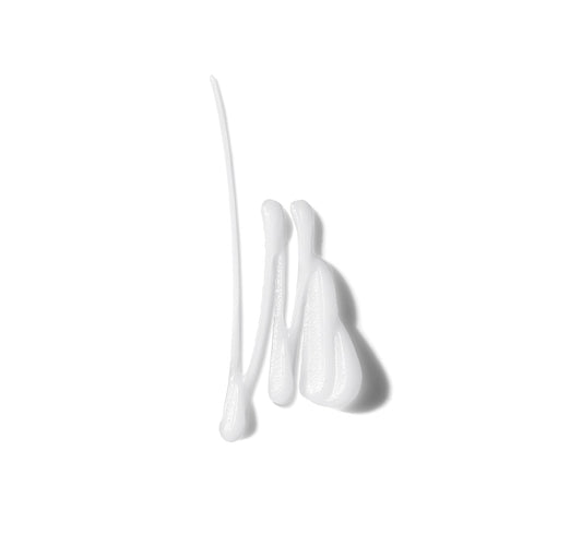 Revitalizer Foundation Primer