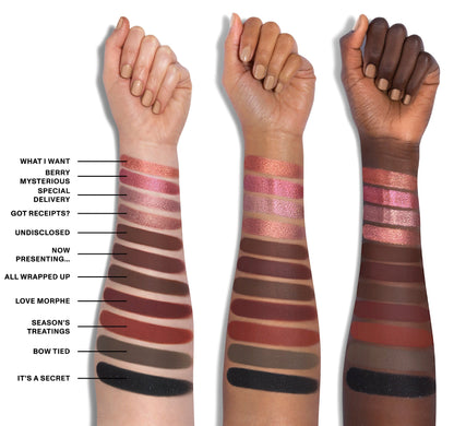 35TE Tease The Season Artistry Palette