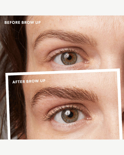 Brow Up Thickening Brow Balm