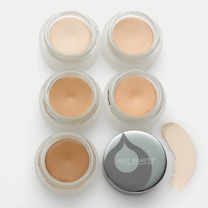 Phyto-Pigments Perfecting Concealer
