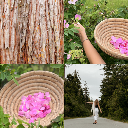 Cedar & Rose | Natural Perfume