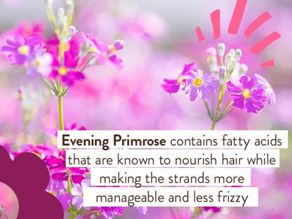 Smoothing Berry & Primrose Conditioning Spray