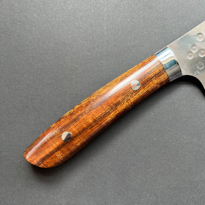 Gyuto knife, SRS13 stainless steel, Tsuchime finish, western ironwood handle - Saji