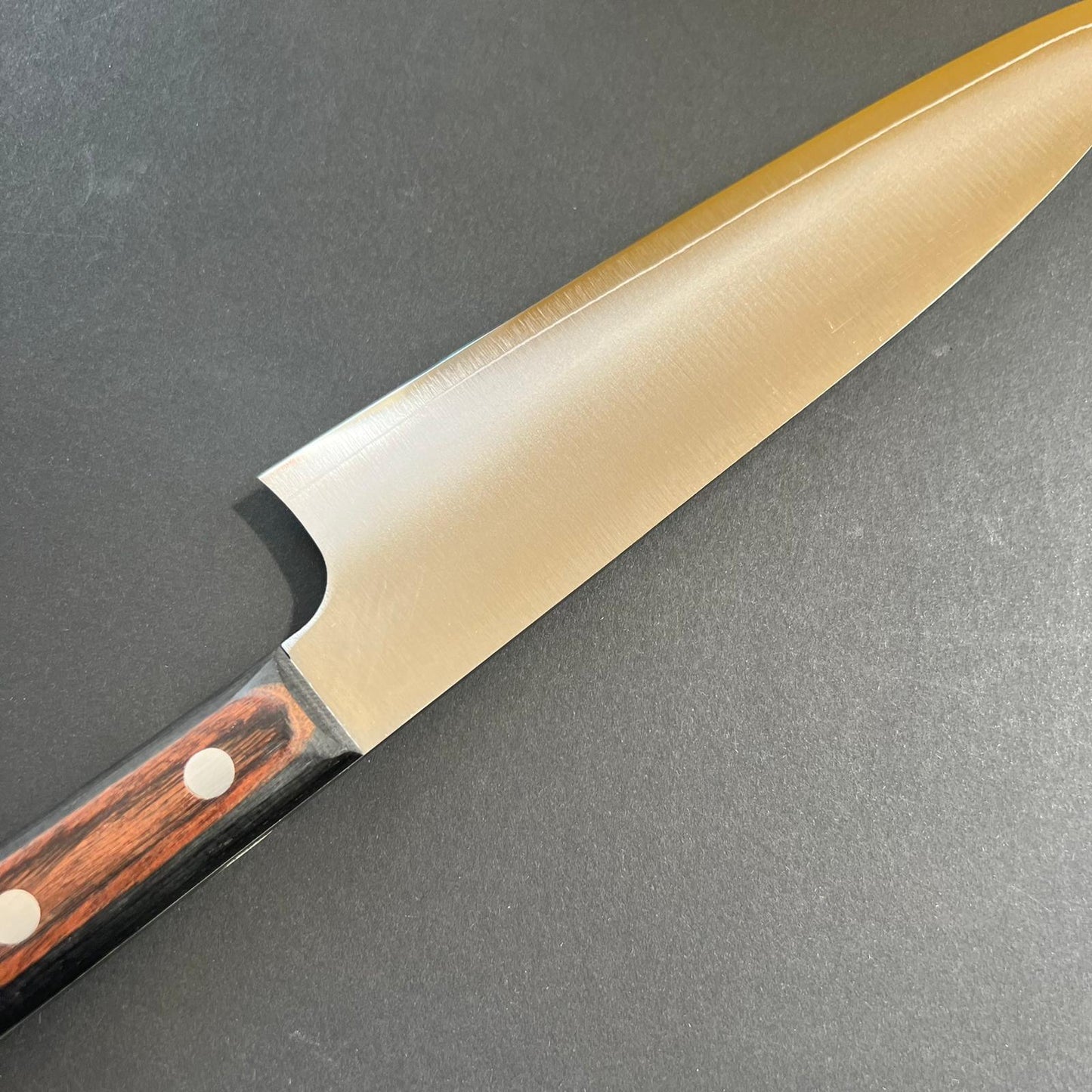 Gyuto knife, VG10 stainless steel, Migaki finish- Kitchen Provisions, Kanechika