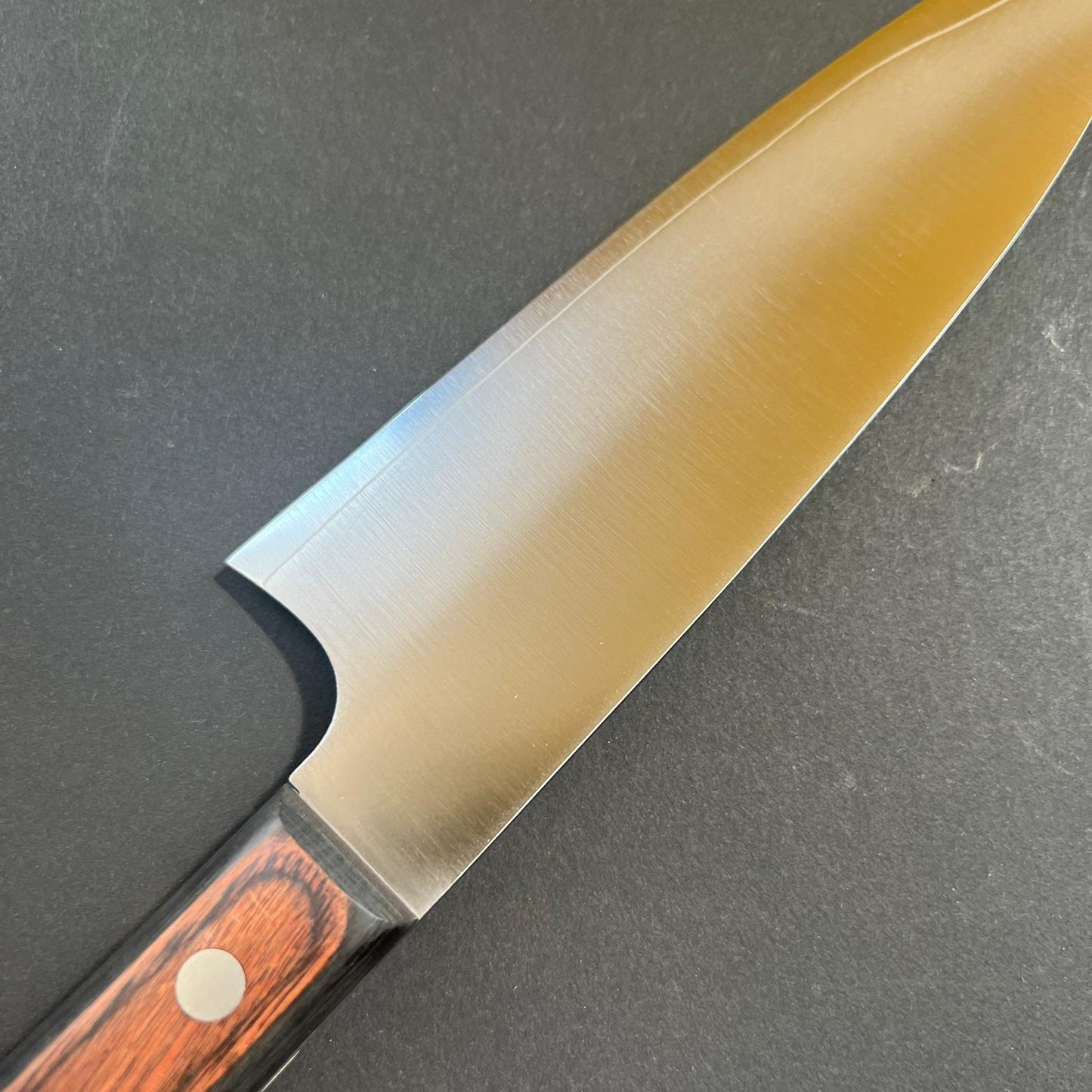 Gyuto knife, VG10 stainless steel, Migaki finish- Kitchen Provisions, Kanechika