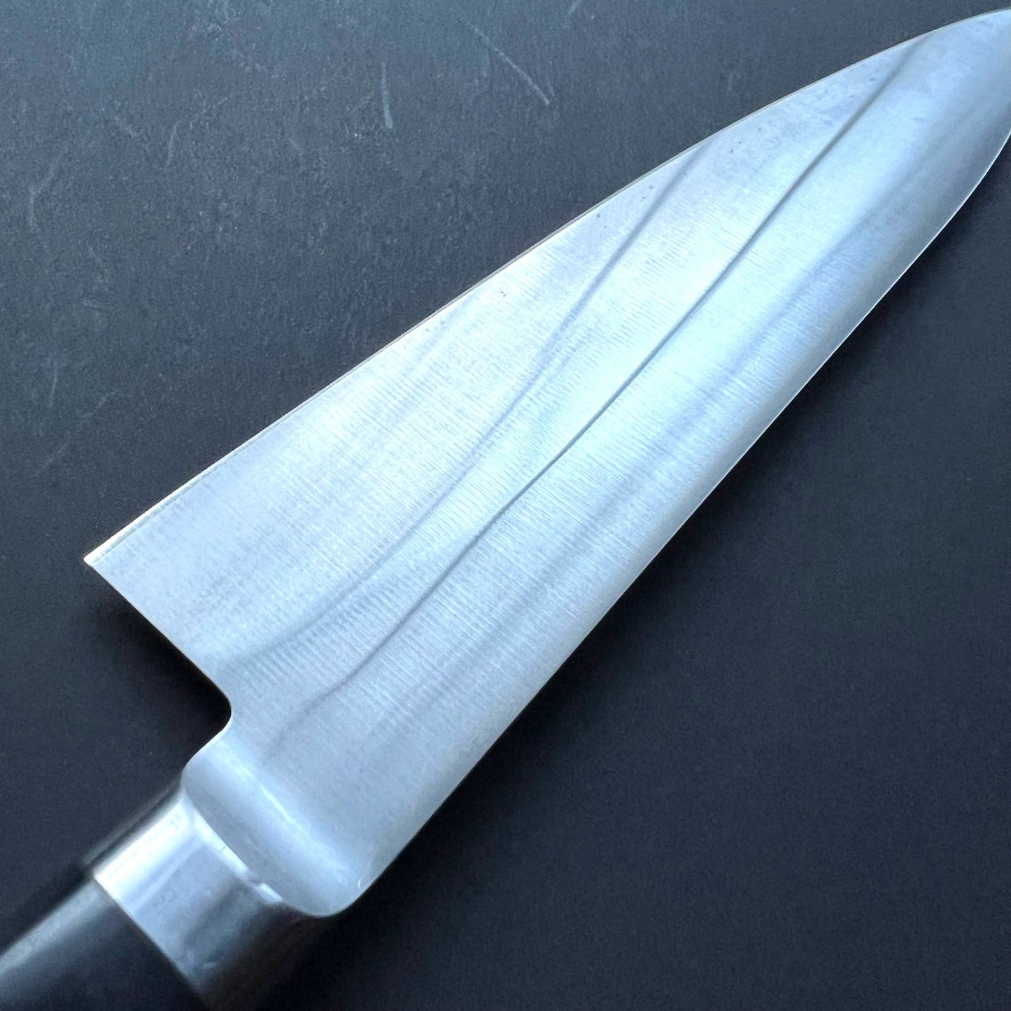 Double bevel Deba knife, SK carbon mono steel, polished finish - Sakai Takayuki