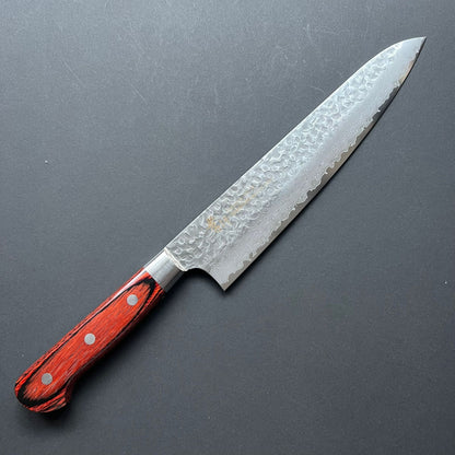 Gyuto knife, VG10 stainless steel, Damascus Tsuchime finish - Sakai Takayuki