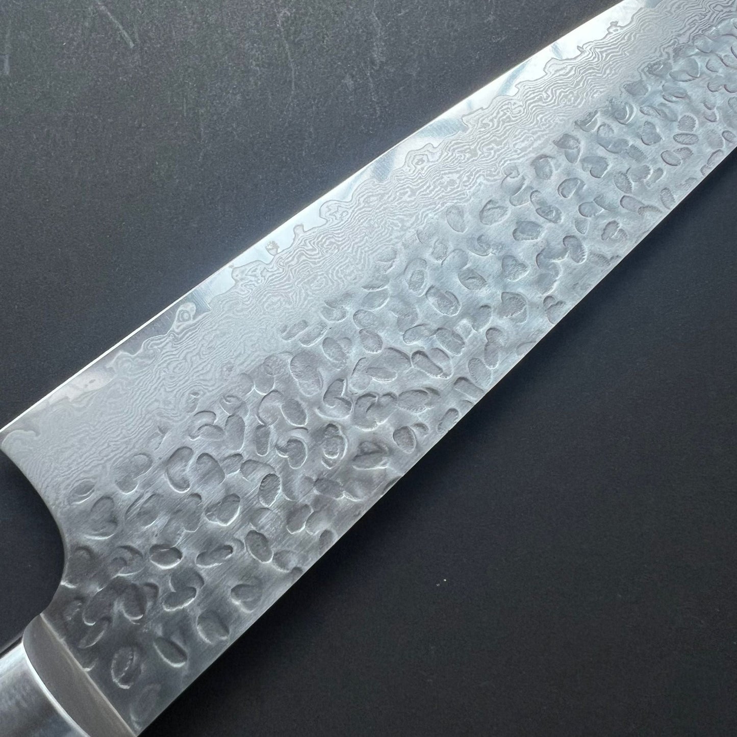 Gyuto knife, VG10 stainless steel, Damascus Tsuchime finish - Sakai Takayuki