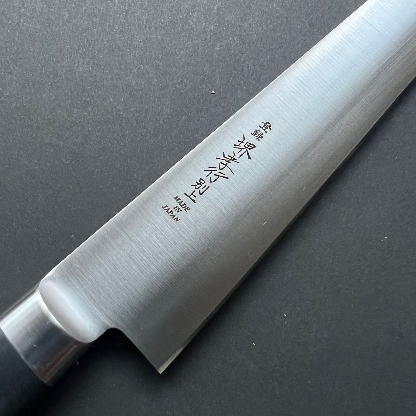 Sujihiki knife, SK carbon mono steel, polished finish - Sakai Takayuki