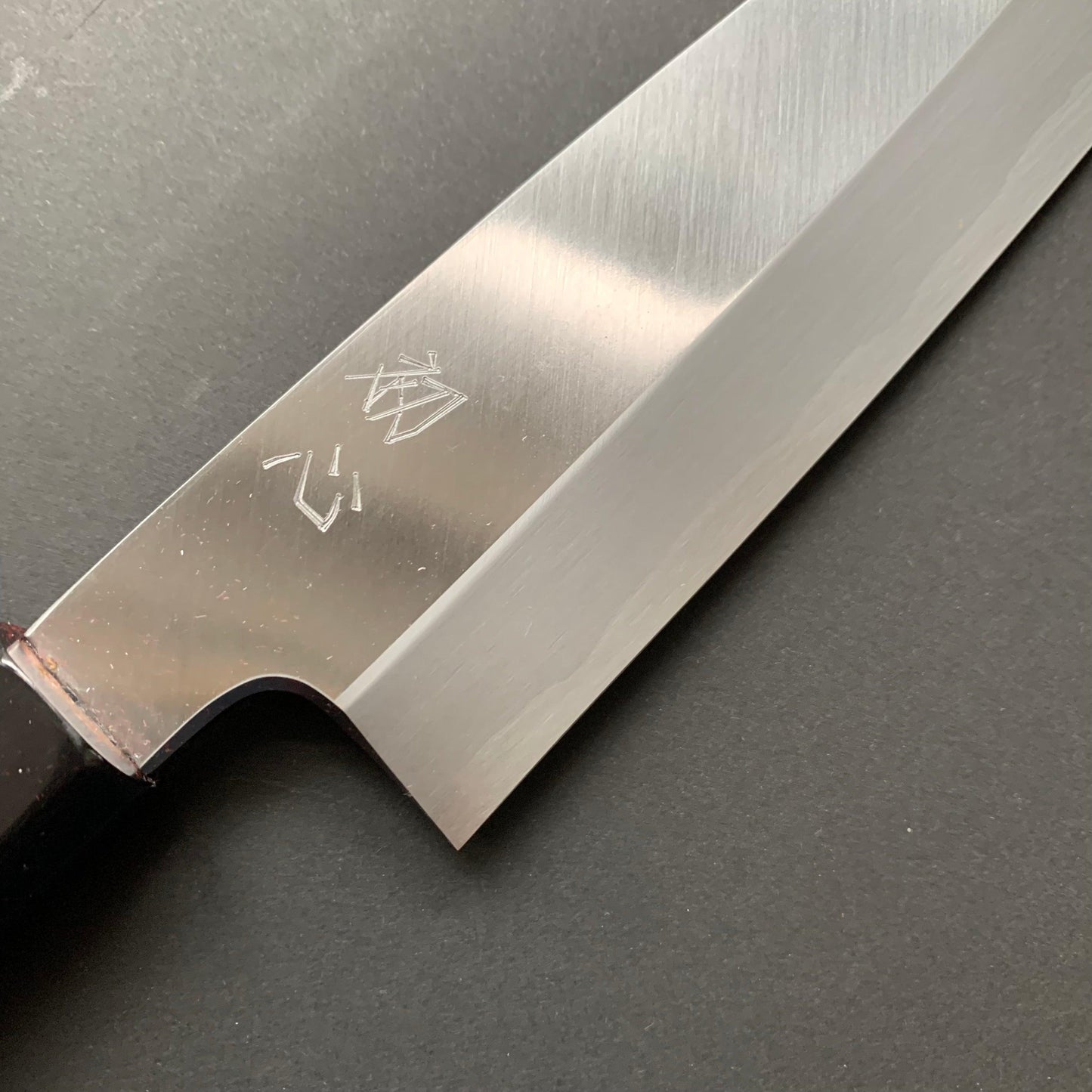 Single bevel Gyuto knife,  shirogami 2, polished finish - Hatsukokoro Shirasagi
