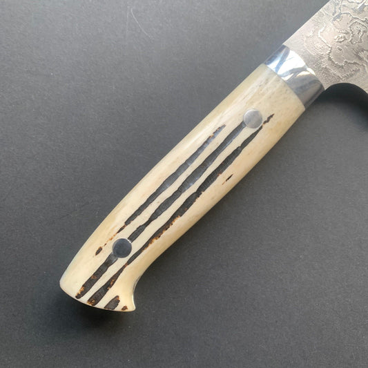 Gyuto knife, SG2 stainless steel, Damascus finish, jigged bone handle - Saji