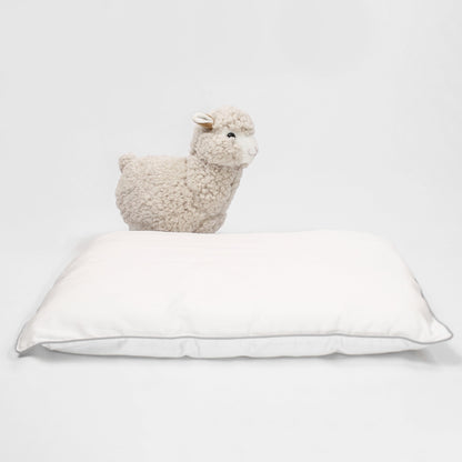 Wool Pillow, Toddler and Kids, Size: 14"x19"