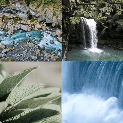 Waters Essential Oil
